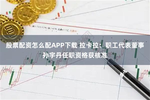 股票配资怎么配APP下载 拉卡拉：职工代表董事孙宇丹任职资格获核准