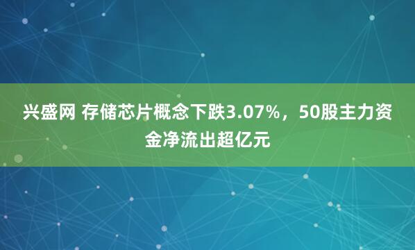 兴盛网 存储芯片概念下跌3.07%，50股主力资金净流出超亿元